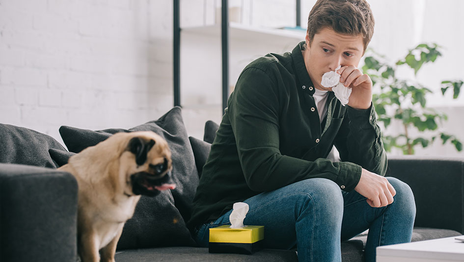 Installing an air purifier is one of the wisest approaches to enhance your house’s indoor air quality. Find out more about the three smartest options. 